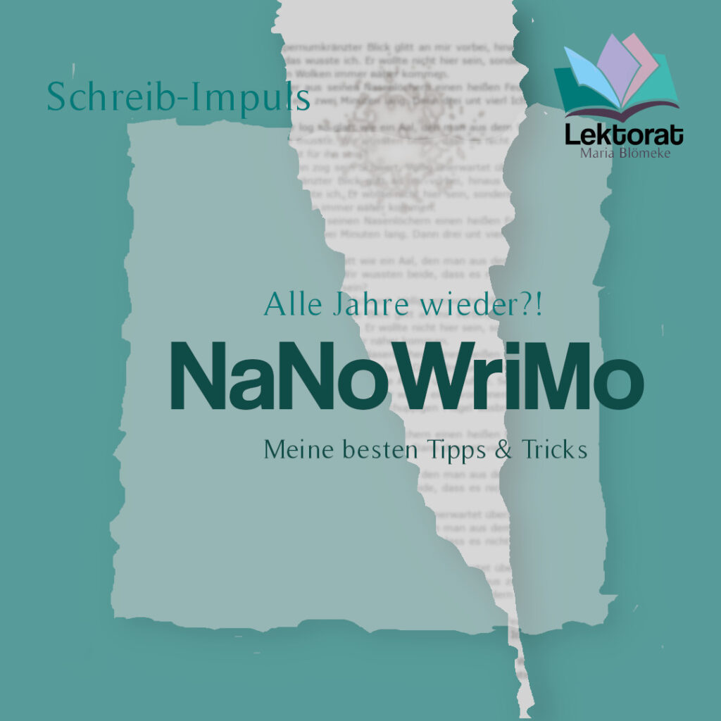 Meine Tipps zum NaNoWriMo. Wie kommst du gut durch den Nano? 